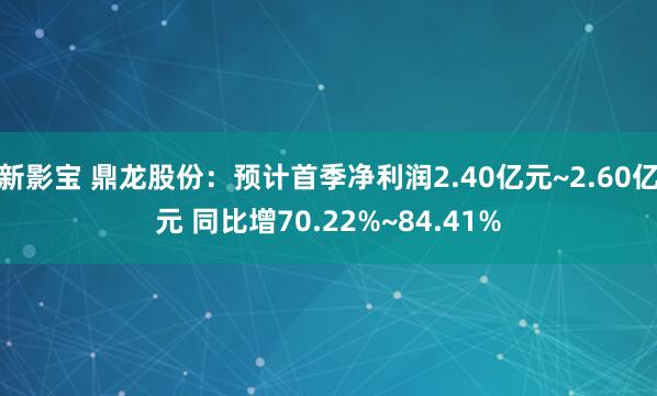 新影宝 鼎龙股份:预计首季净利润2.40亿元~2.60亿元 同比增70.22%~84.41%