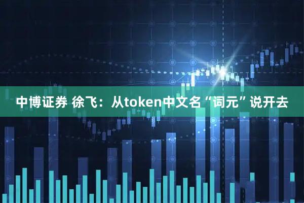 中博证券 徐飞:从token中文名“词元”说开去