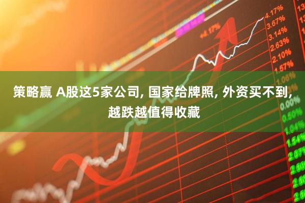 策略赢 A股这5家公司, 国家给牌照, 外资买不到, 越跌越值得收藏