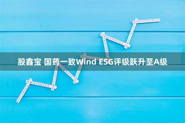 股鑫宝 国药一致Wind ESG评级跃升至A级