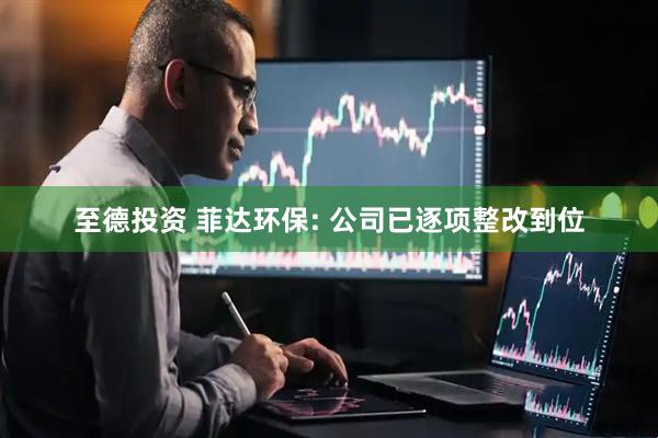 至德投资 菲达环保: 公司已逐项整改到位